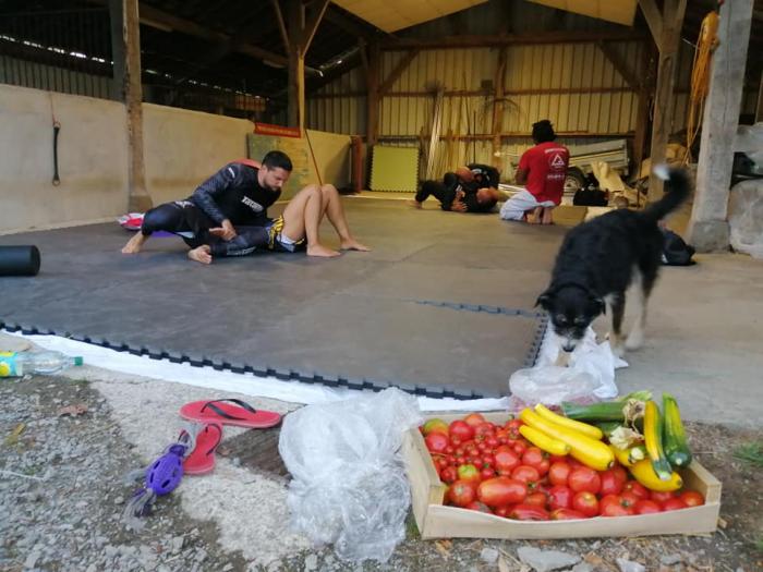 Farm Training.