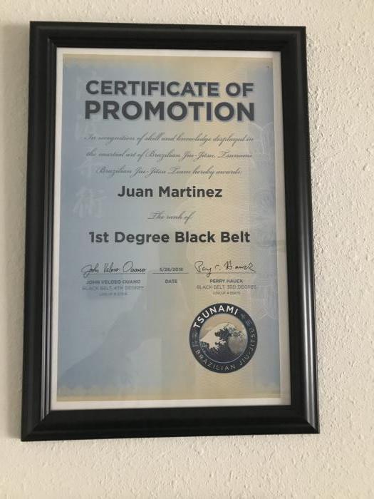 1st degree Black Belt certificate Bjj