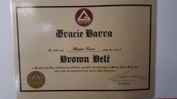 Brown belt · July 21, 2020 · Promoted by Professor Saul Abelson