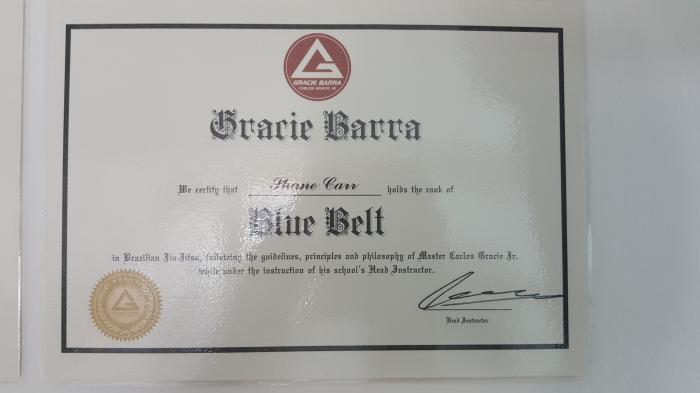 Blue belt · September 3, 2017 · Promoted by Prof. Saul Abelson