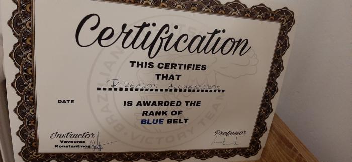 Blue belt · March 7, 2020 · Promoted by Vavouras Konstantinos