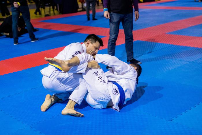 UBJJF Ukraine Open, 2019