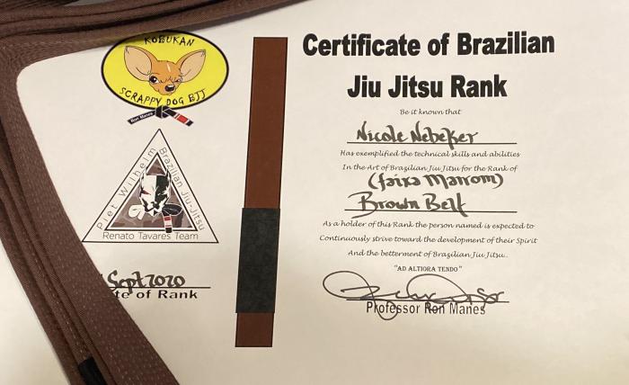 Brown belt · September 21, 2020 · Promoted by Ron Manes