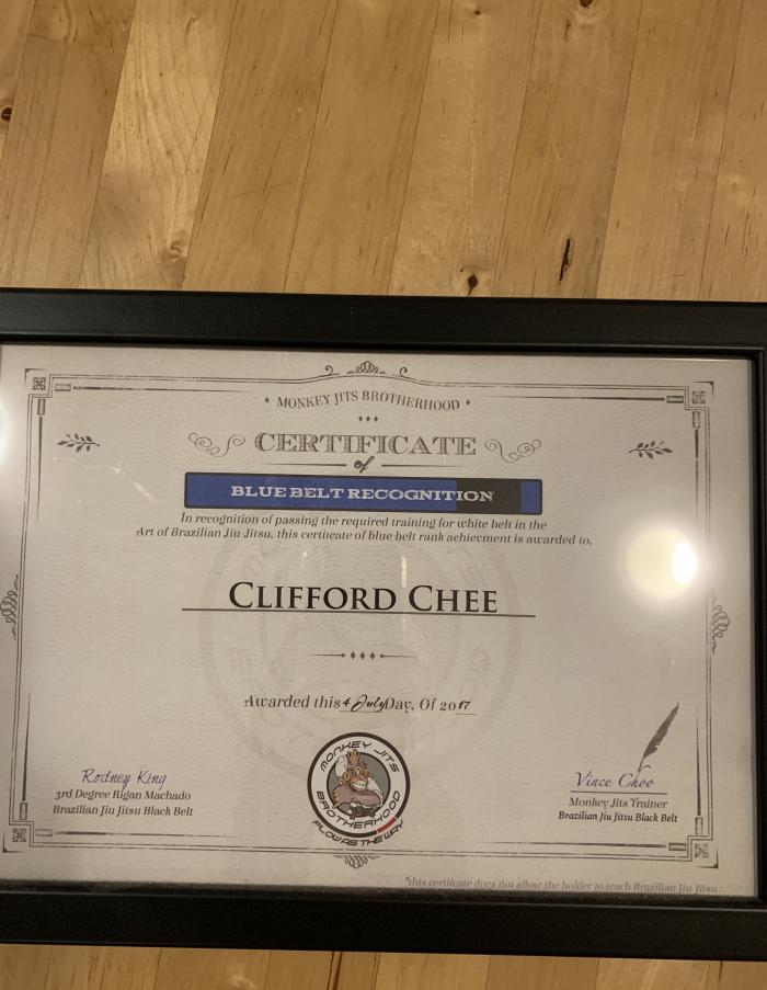 Blue belt · July 4, 2017 · Promoted by Vince Choo