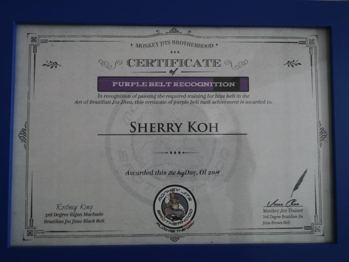 Purple belt · August 21, 2014 · Promoted by Vince Choo BJJ