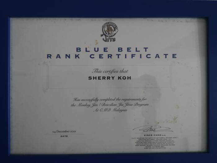 Blue belt · December 4, 2012 · Promoted by Vince Choo BJJ