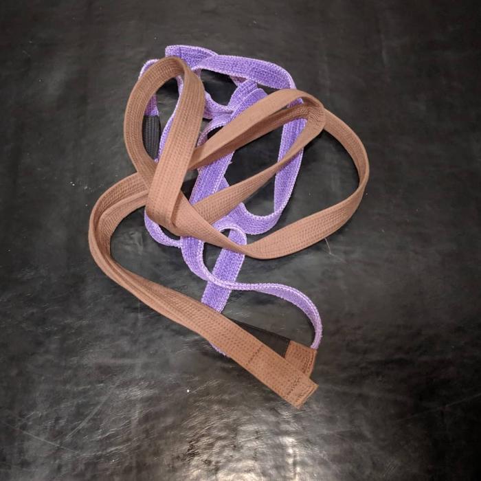 Brown belt · January 8, 2019 · Promoted by Michael Chapman