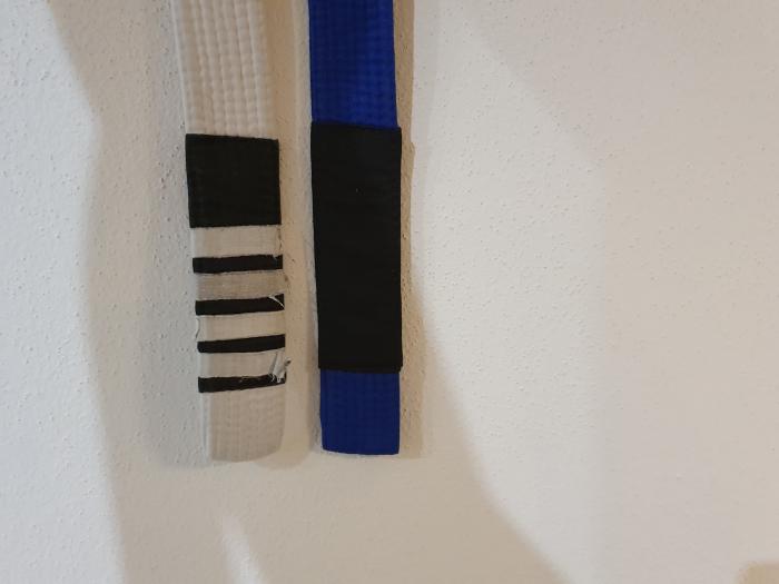 Blue belt · October 11, 2020 · Promoted by Michael Herčka