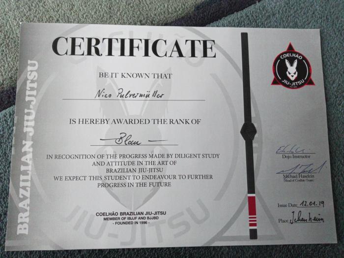 Blue belt · January 12, 2019 · Promoted by Michael Haselein