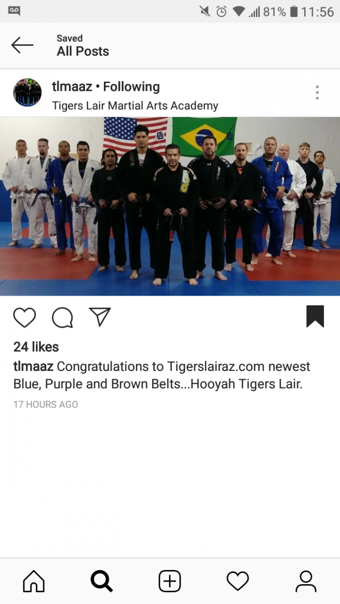 Brown belt · December 3, 2018 · Promoted by Pedro Diaz