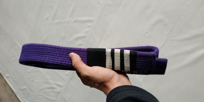 Purple belt · August 25, 2018 · Promoted by Paul Stolyar