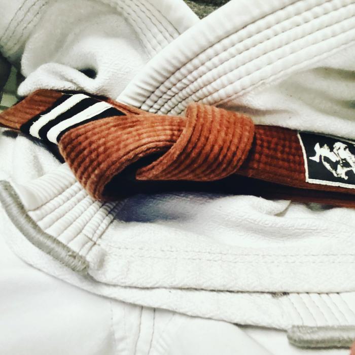 Brown belt · February 15, 2019 · Promoted by Jesse Briggs