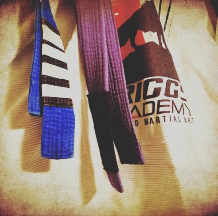 Purple belt · July 14, 2017 · Promoted by Jesse Briggs