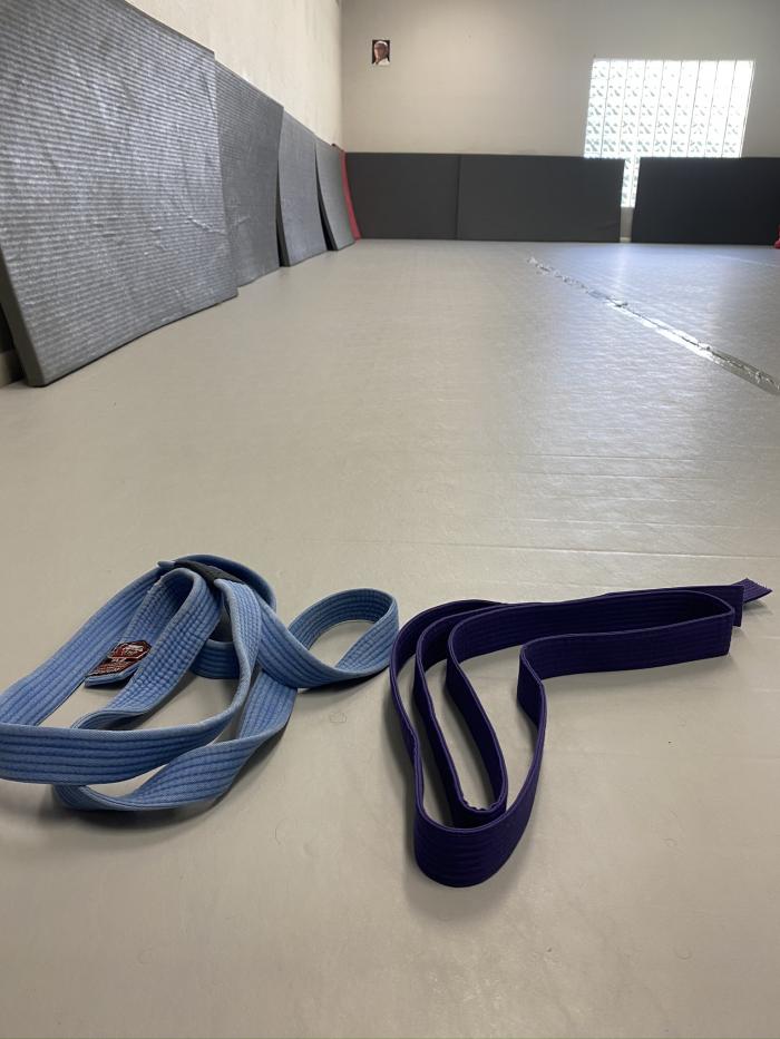Purple belt · July 1, 2020 · Promoted by Charles dos Anjos