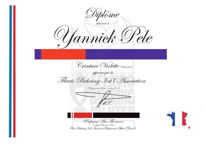 Purple belt · June 1, 2018 · Promoted by Alex Thomann