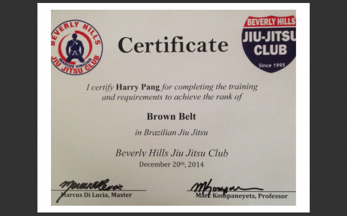 Brown belt · December 20, 2014 · Promoted by MARCUS VINICIUS DI LUCIA