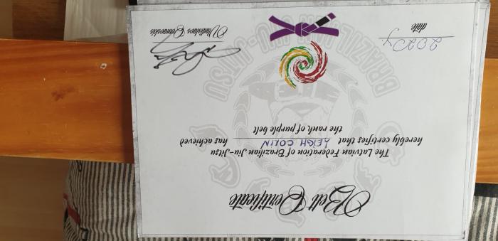 Purple belt · February 26, 2020 · Promoted by Vladislavs Cernavskis