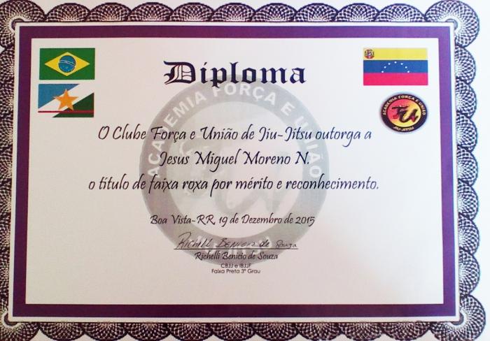Purple belt · December 19, 2015 · Promoted by Richelli Benicio de Souza