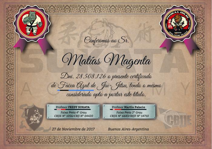 Blue belt · November 27, 2017 · Promoted by Profesor Martín Palacio