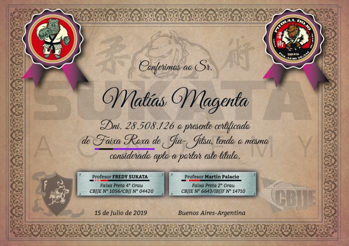 Purple belt · July 15, 2019 · Promoted by Profesor Martín Palacio