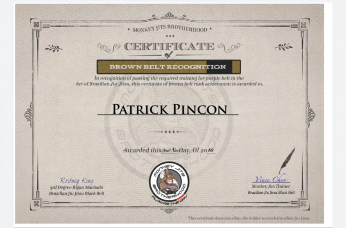 Brown belt · November 3, 2016 · Promoted by Vince Choo