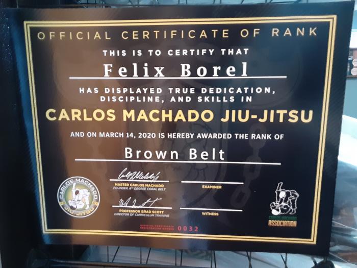 Brown belt · March 14, 2020 · Promoted by Carlos Machado
