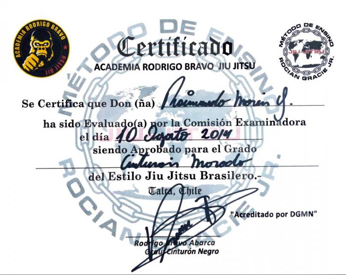 Purple belt · August 10, 2014 · Promoted by Rodrigo Bravo