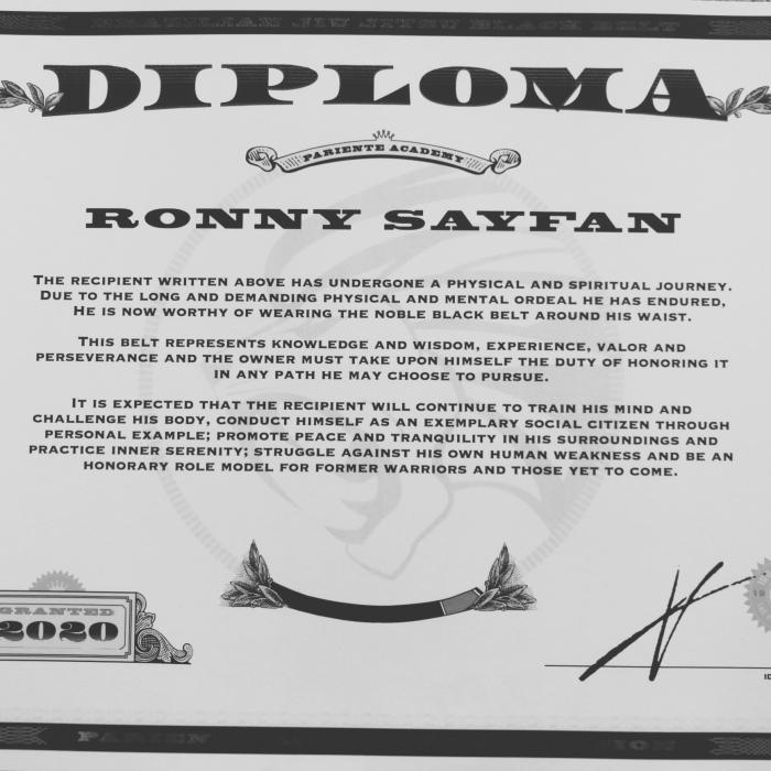 Black belt · September 18, 2020 · Promoted by Ido Pariente