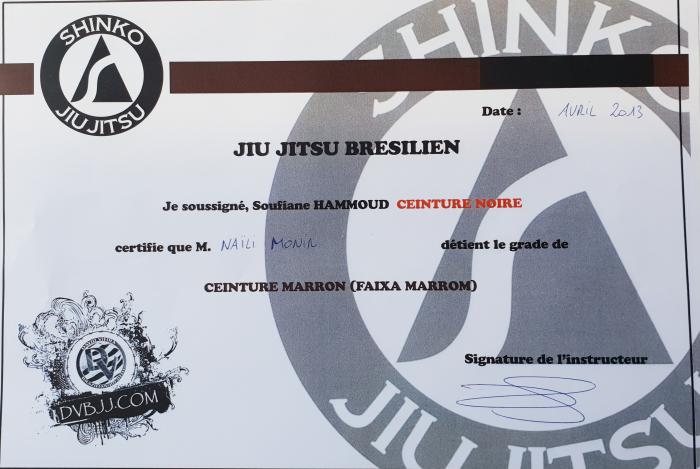 Brown belt · April 1, 2013 · Promoted by Soufiane Hammoud