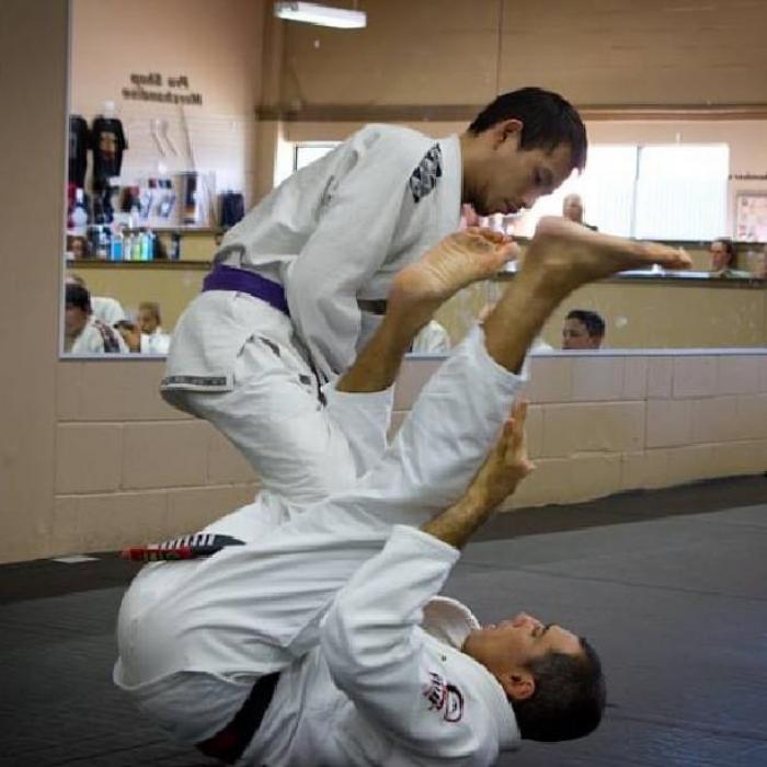 Purple belt · January 18, 2013 · Promoted by Chad King