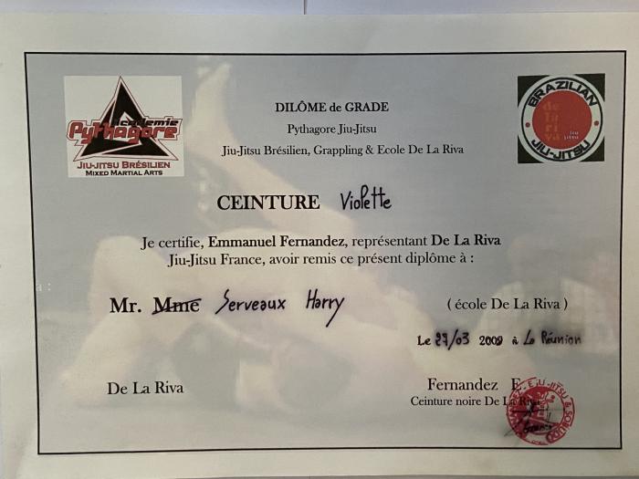 Purple belt · March 27, 2008 · Promoted by Emmanuel Fernandez