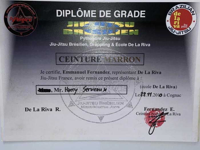 Brown belt · November 11, 2010 · Promoted by Emmanuel Fernandez