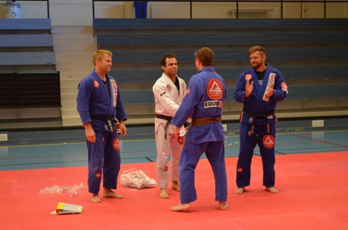 Brown belt · June 24, 2014 · Promoted by Carlos Lemos Jr