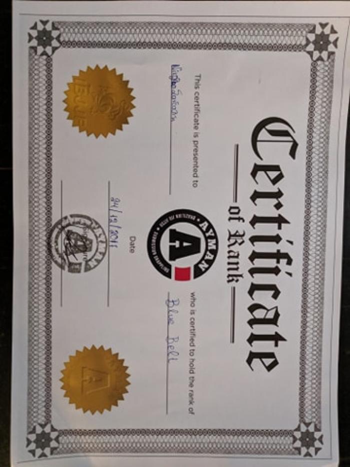 Blue belt · December 24, 2017 · Promoted by Eamonn Nassralla
