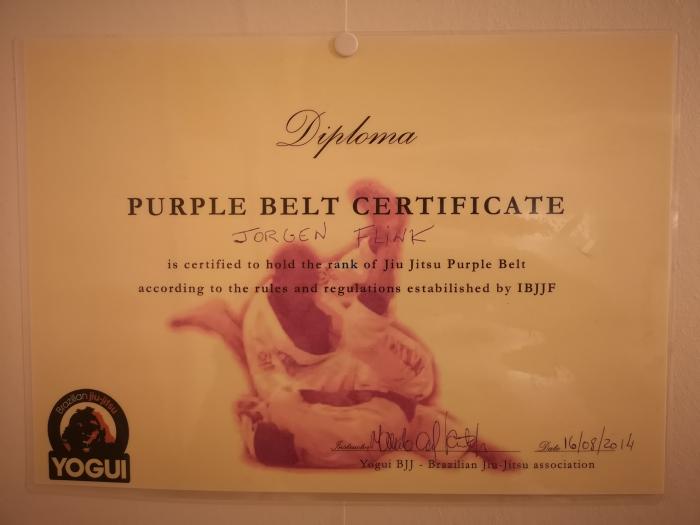 Purple belt · August 16, 2014 · Promoted by Marcelo Yogui