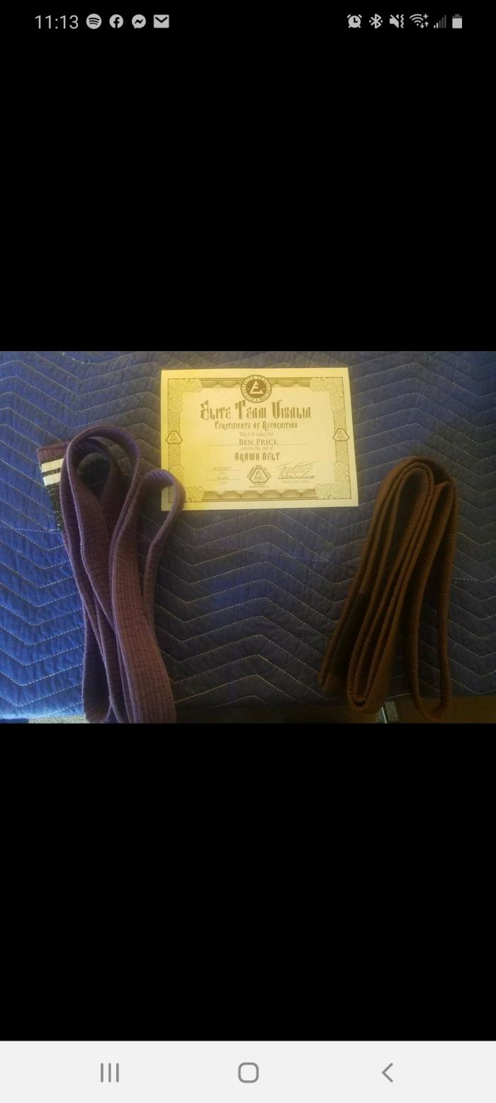 Brown belt · August 13, 2017 · Promoted by Tom Knox