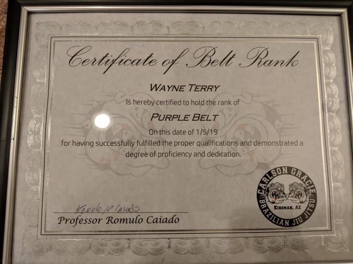 Purple belt · January 6, 2019 · Promoted by Romulo Caiado