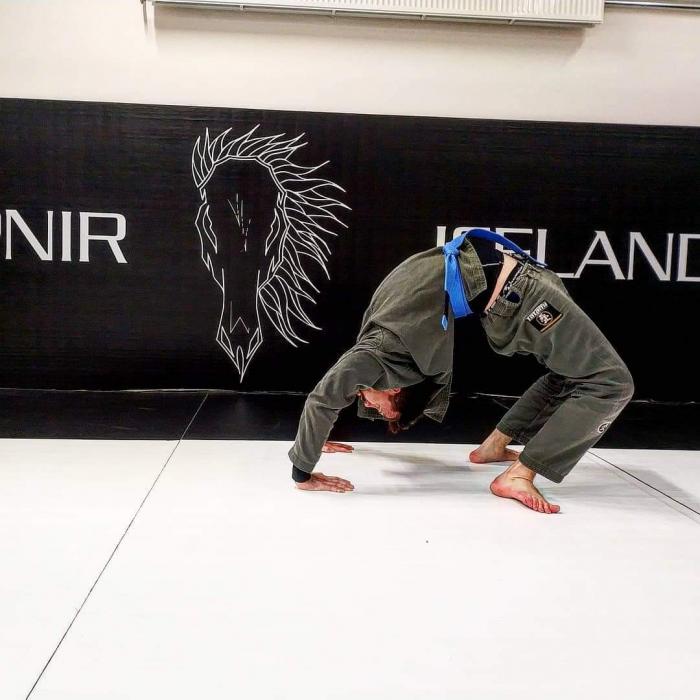 Blue belt · June 1, 2020 · Promoted by Guðmundur Stefán Gunnarsson