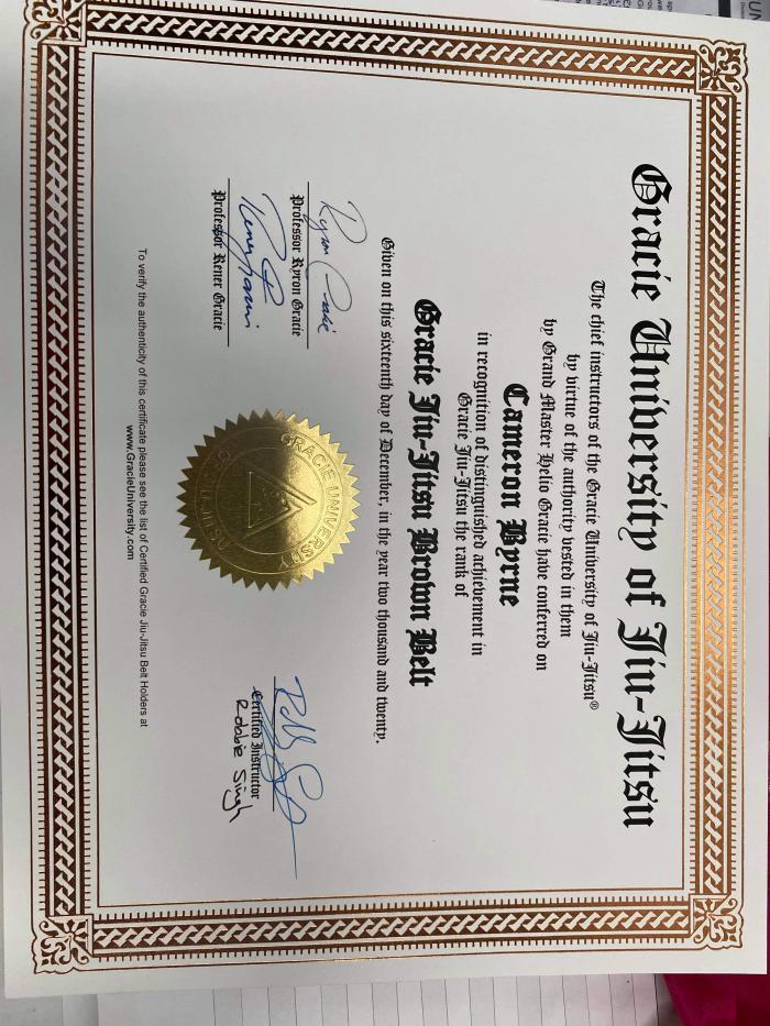 Brown belt · December 27, 2020 · Promoted by Robbie Singh