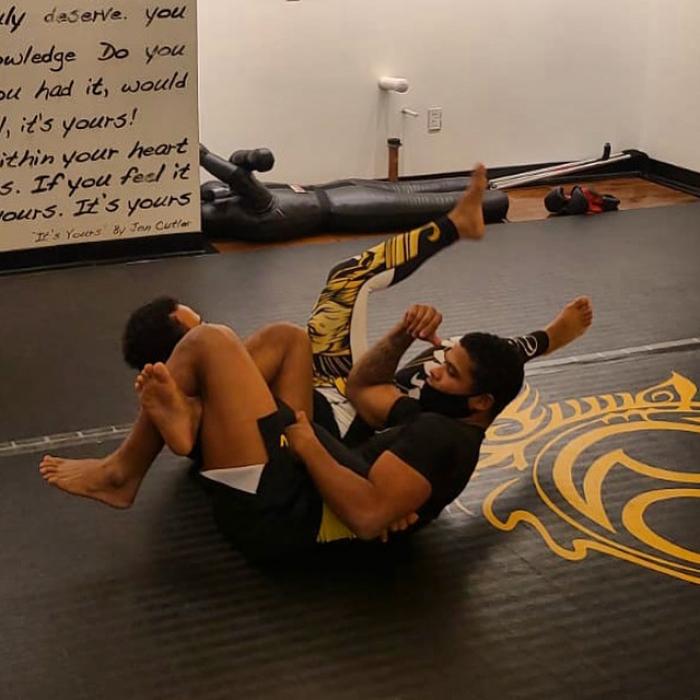 Brown belt promo day