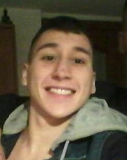 Gallito