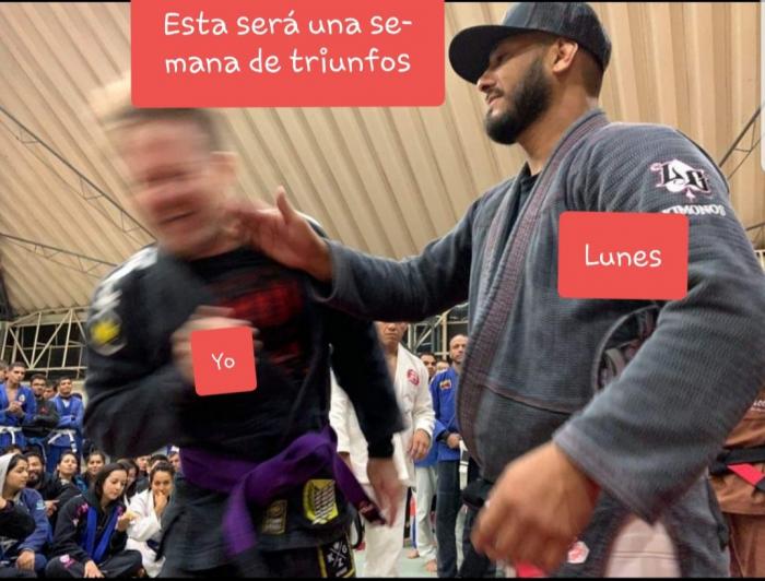 Purple belt · October 1, 2019 · Promoted by Fausto Teran