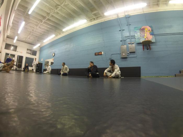 Blue belt · February 20, 2015 · Promoted by Eric Hemphil