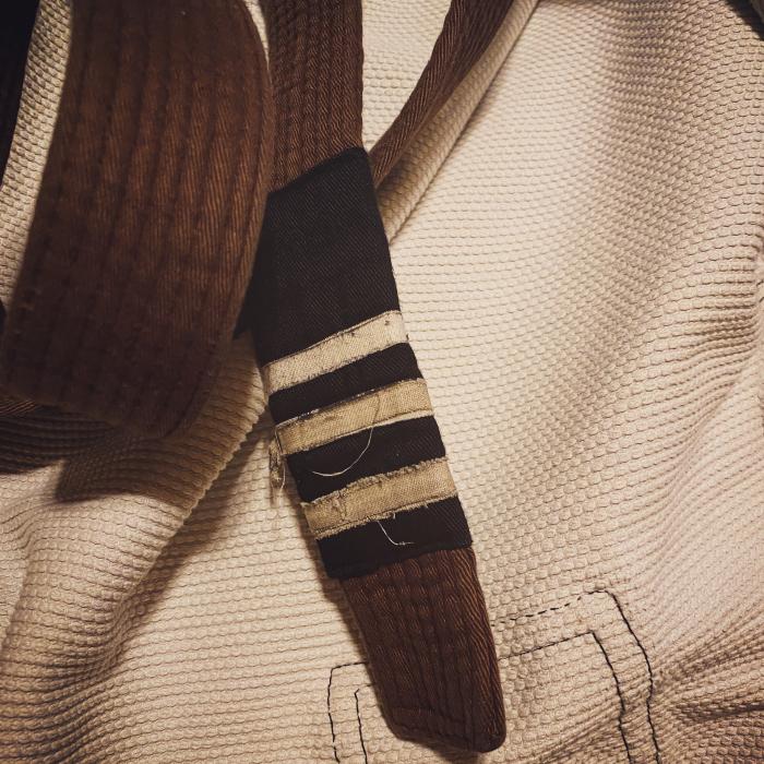 Brown belt · February 15, 2019 · Promoted by Jesse Briggs