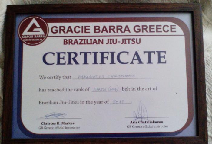 Purple belt · March 15, 2015 · Promoted by Vinicius Magalhaes