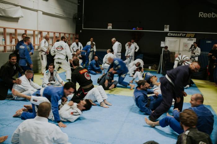 Blue belt · November 19, 2016 · Promoted by Pedro Pacheco Fernandes