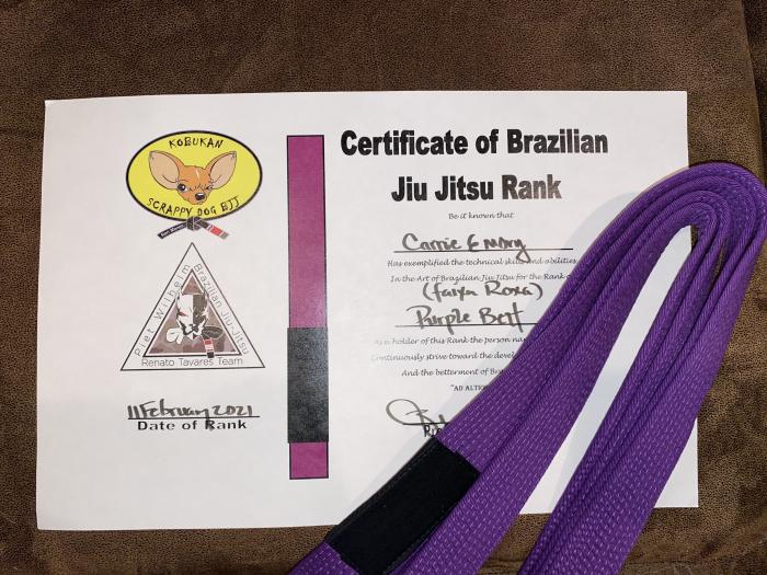Purple belt · February 11, 2021 · Promoted by Ron Manes
