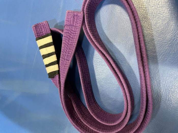 Purple belt · February 1, 2019 · Promoted by Bryan Waltz
