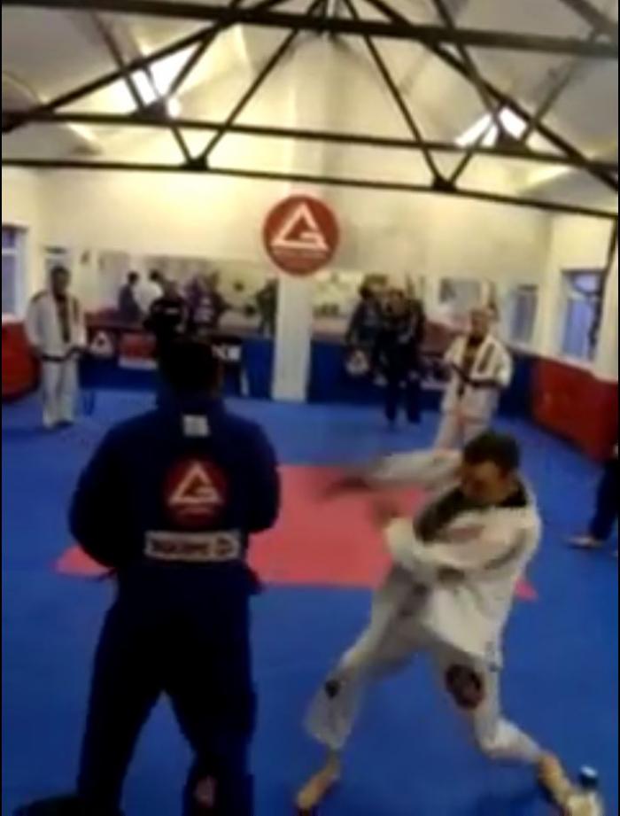 Purple belt · April 2, 2015 · Promoted by Ian Fell