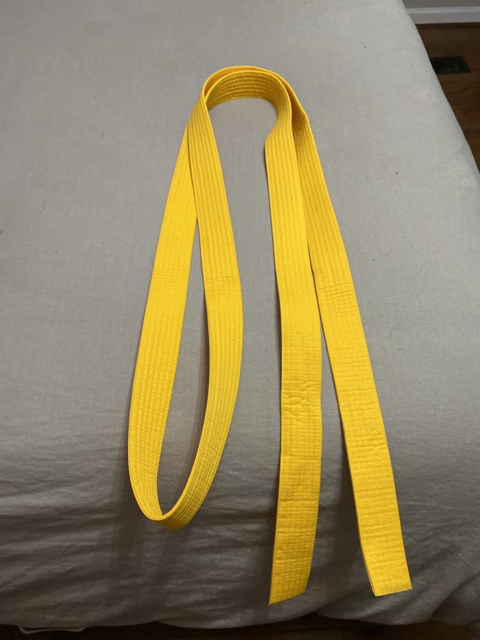 Yellow belt · January 28, 2021 · Promoted by Paul Byars